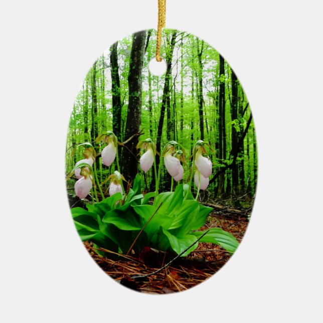 Pink Lady Slipper Wild Orchid Keramikornament (Vorne)