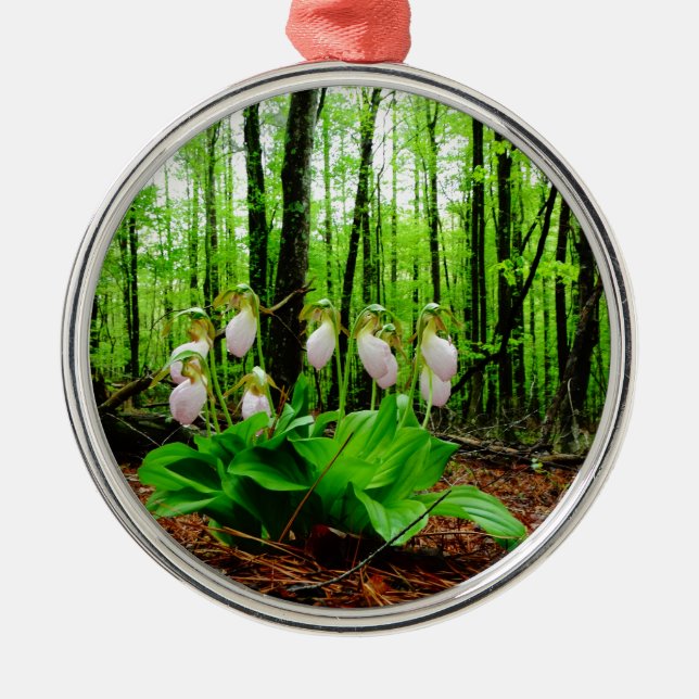 Pink Lady Slipper Wild Orchid Ornament Aus Metall (Vorne)