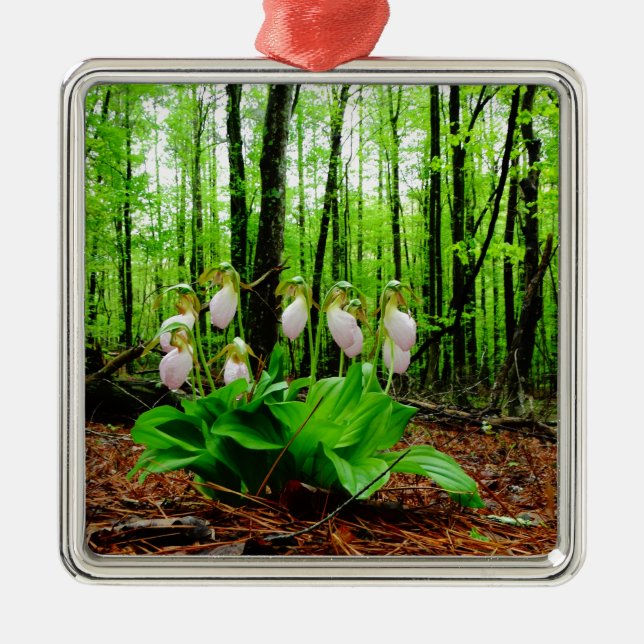 Pink Lady Slipper Wild Orchid Ornament Aus Metall (Vorne)