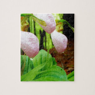 Pink Lady Slipper Wild Orchid Puzzle