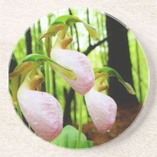 Pink Lady Slipper Wild Orchid Sandstein Untersetzer