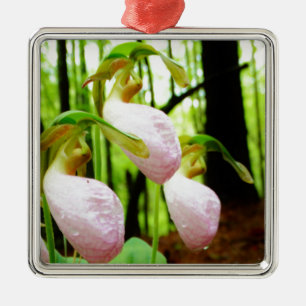 Pink Lady Slipper Wild Orchid Silbernes Ornament