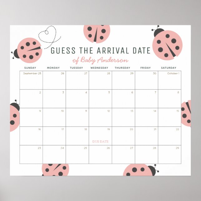 Pink Ladybugs Guess The Due Date Calendar Poster (Vorne)