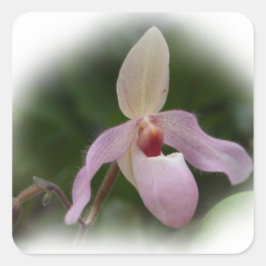 Pink Lady's Slipper Orchid Quadratischer Aufkleber