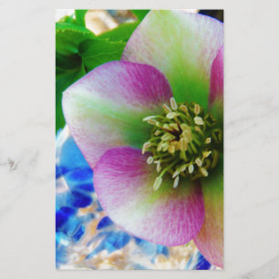 Pink Lenten Rose Briefpapier