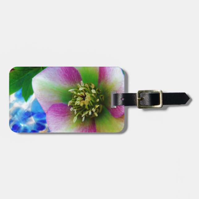 Pink Lenten Rose Gepäckanhänger (Vorderseite horizontal)