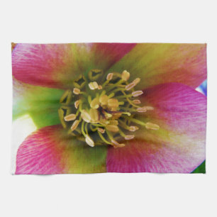 Pink Lenten Rose, Geschirrtuch