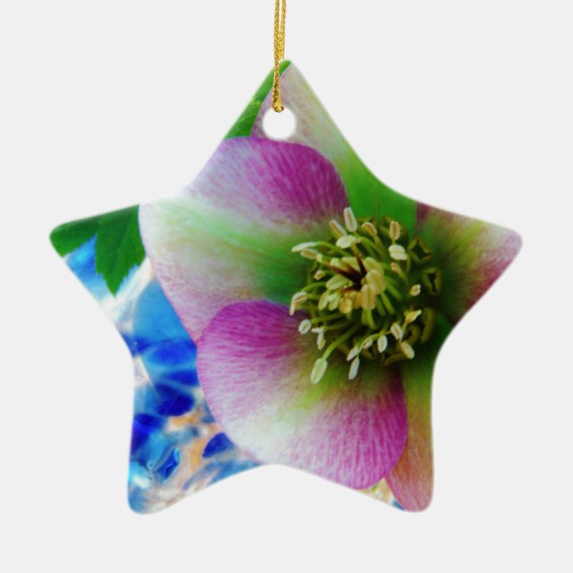 Pink Lenten Rose Keramikornament (Vorne)