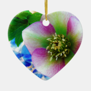 Pink Lenten Rose Keramikornament