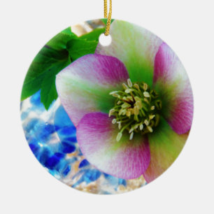 Pink Lenten Rose Keramikornament