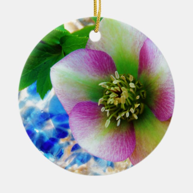 Pink Lenten Rose Keramikornament (Vorne)