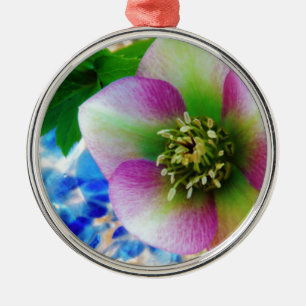 Pink Lenten Rose Ornament Aus Metall