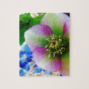 Pink Lenten Rose Puzzle