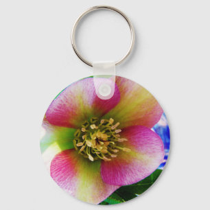 Pink Lenten Rose, Schlüsselanhänger