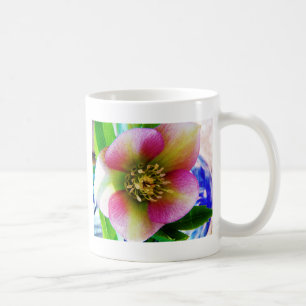 Pink Lenten Rose, Tasse