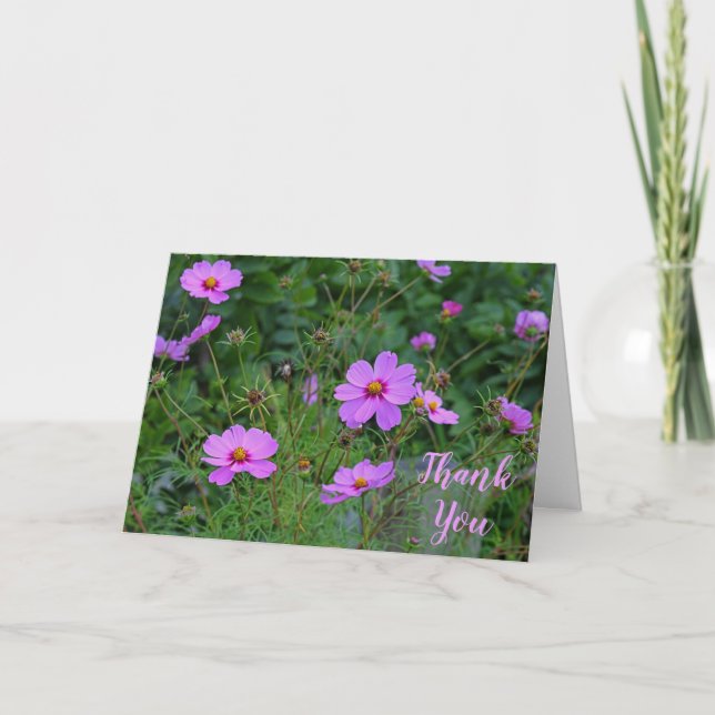 Pink Lila Cosmos Blume Danke Nachricht (Vorderseite)