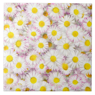 Pink Lila Daisy Blume Pattern Fliese