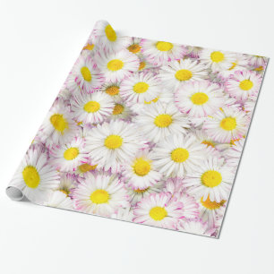 Pink Lila Daisy Blume Pattern Geschenkpapier