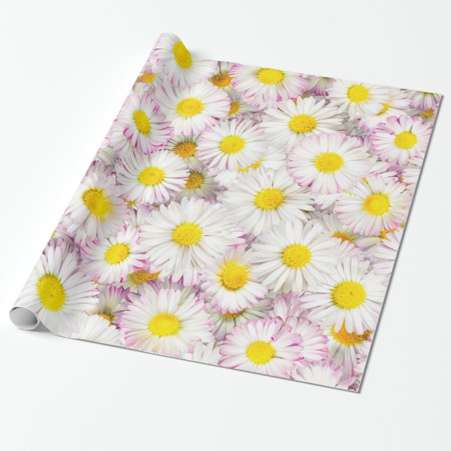 Pink Lila Daisy Blume Pattern Geschenkpapier (Ungerollt)
