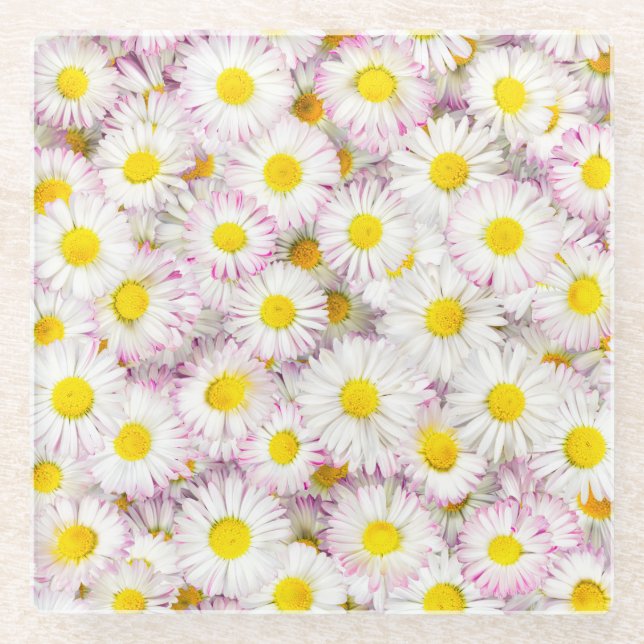 Pink Lila Daisy Blume Pattern Glasuntersetzer (Vorderseite)