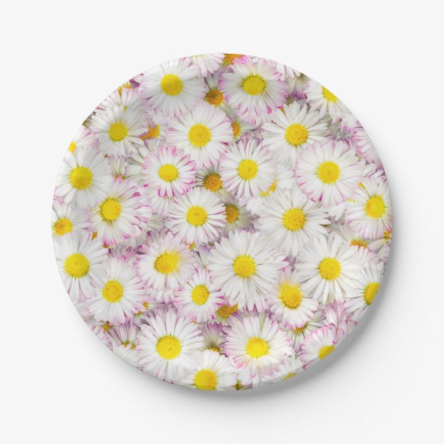 Pink Lila Daisy Blume Pattern Pappteller (Vorderseite)