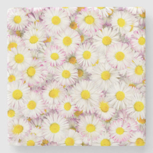 Pink Lila Daisy Blume Pattern Steinuntersetzer