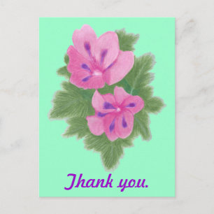 Pink Lila Geranium Danke Postkarten