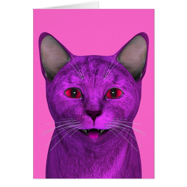 Pink Lila Kitty Face (Vorne)