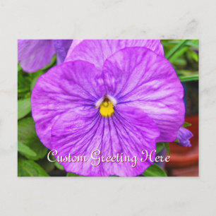 Pink Lila Pansy Blume Postkarte