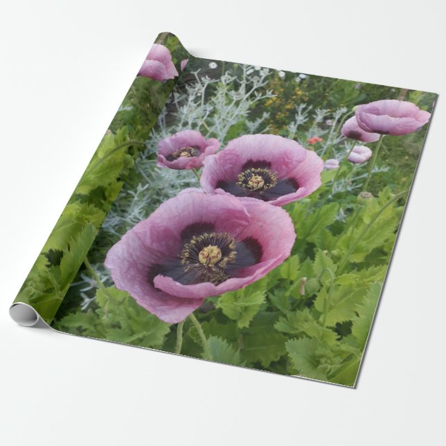 Pink Lila Poppies florale Blume Packpapier (Ungerollt)