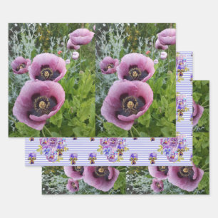 Pink Lila Poppies Mauve Lila Blume Geschenk Geschenkpapier Set
