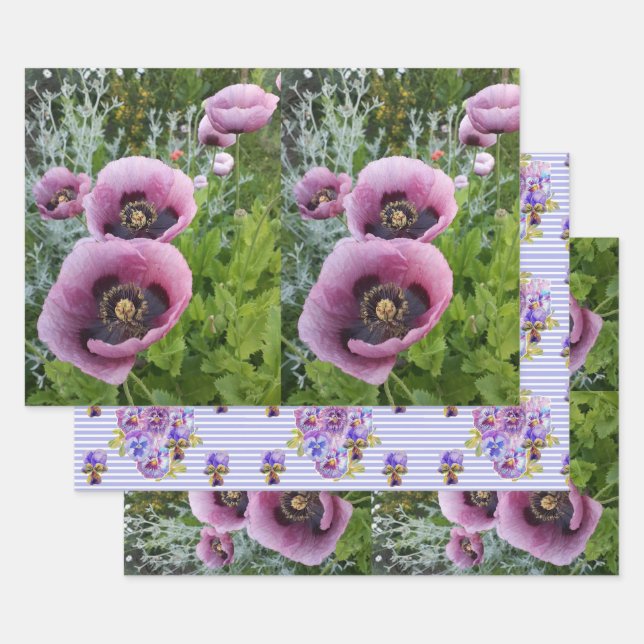 Pink Lila Poppies Mauve Lila Blume Geschenk Geschenkpapier Set (Set)