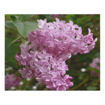 Pink Lilac Blume Imitate überwunden Canvas Mittel