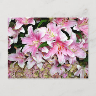 Pink Lilies & Hydrangea Postkarte