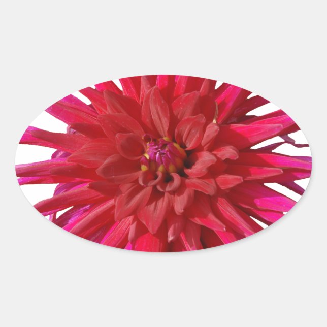 Pink Lilly Ovaler Aufkleber (Vorderseite)