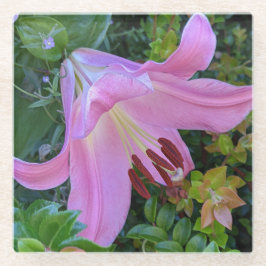 Pink Lily Bloom Floral Glasuntersetzer