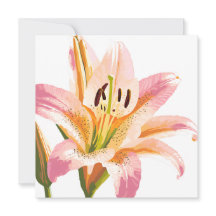Pink Lily Blume | Aquarellfarbene Blütenmalerei