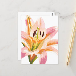 Pink Lily Blume | Aquarellfarbene Blütenmalerei Postkarte