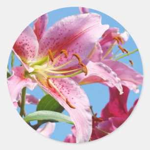 Pink Lily Blume Aufkleber Custom Shapes Lilies