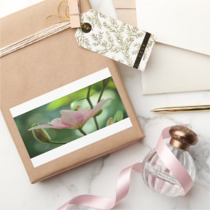 Pink Lily-Bokeh von Shirley Taylor Rechteckiger Aufkleber