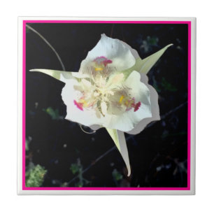 Pink Lily Fairy Tile Fliese