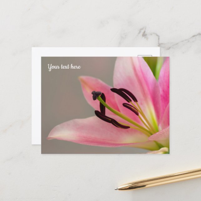 Pink Lily Postcard Postkarte (Vorderseite/Rückseite Beispiel)