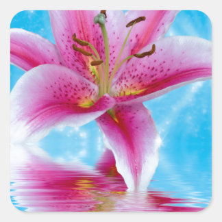 Pink Lily Sparkle Quadratischer Aufkleber