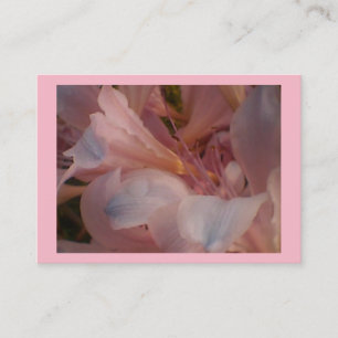 Pink Lily Visitenkarte