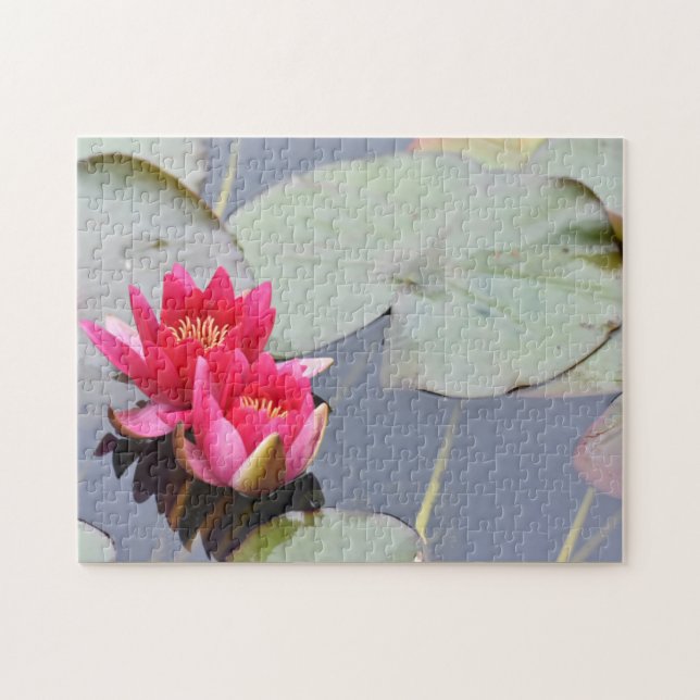 Pink Lilypad Lily Blume Natur Fotografy Garden Puzzle (Horizontal)