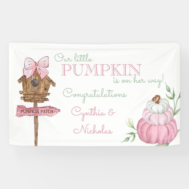 Pink Little Pumpkin Patch Girl Baby Dusche Banner (Horizontal)
