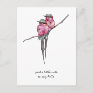 Pink Long Tails Hummingbirds Denken Sie an Sie Postkarte
