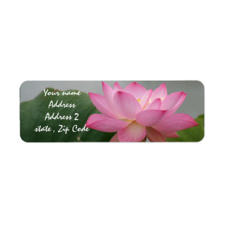 Pink Lotus Blossom