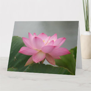 Pink Lotus Blossom Karte