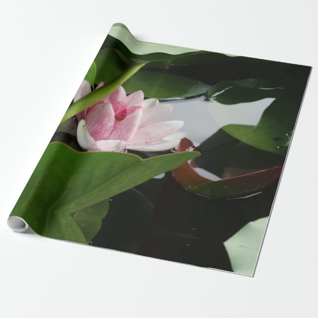 Pink Lotus Blume Foto Wrapping Paper Geschenkpapier (Ungerollt)